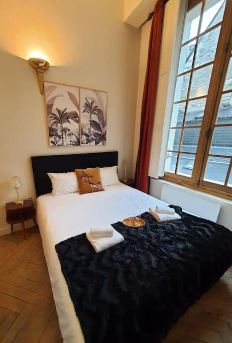 Appartement T2 Calme Vieux Tours Basilique Extérieur photo